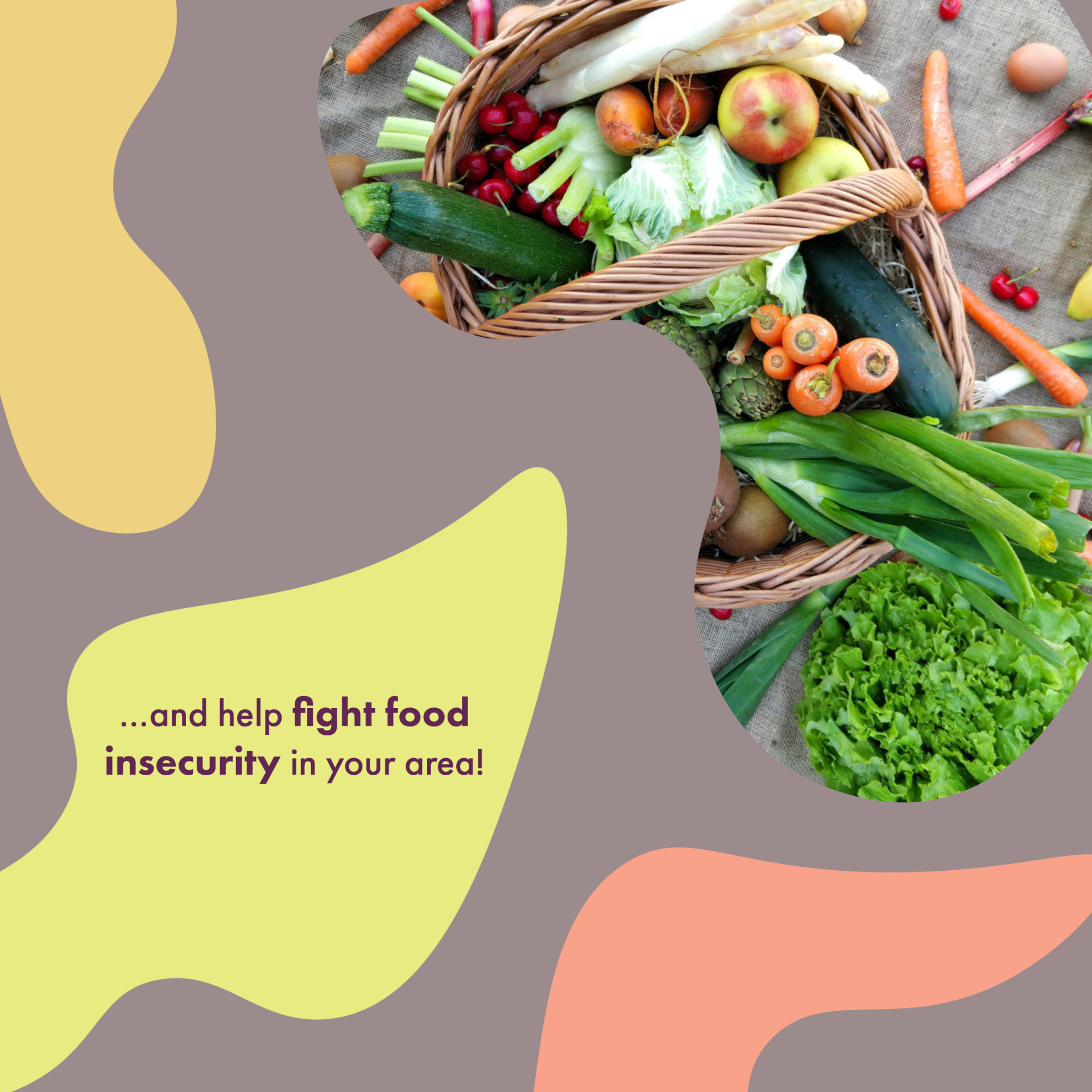 Fresh Fare Farms Instagram post second slide Basket of fresh picked vegetables "...and help fight food insecurity in your area!"